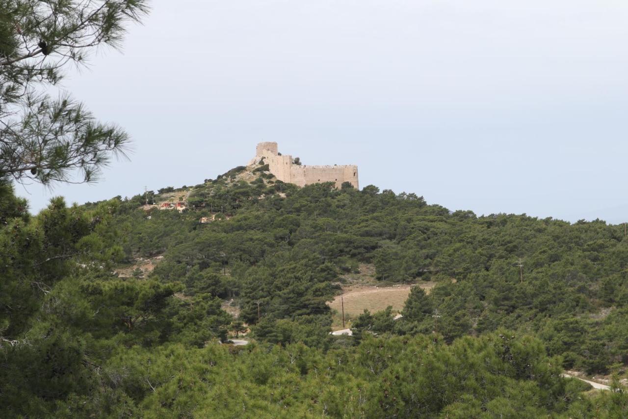 Echo Traditional House - Ηχώ Παραδοσιακό Σπίτι Émbonas Exterior foto